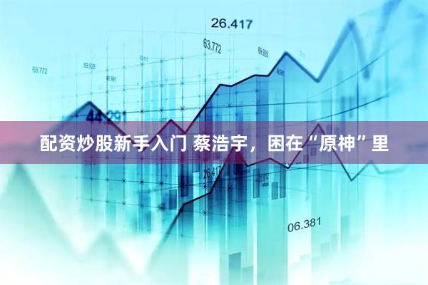 配资炒股新手入门 蔡浩宇，困在“原神”里