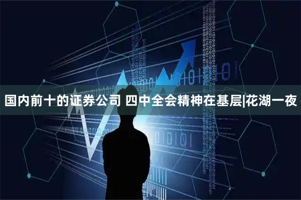 国内前十的证券公司 四中全会精神在基层|花湖一夜